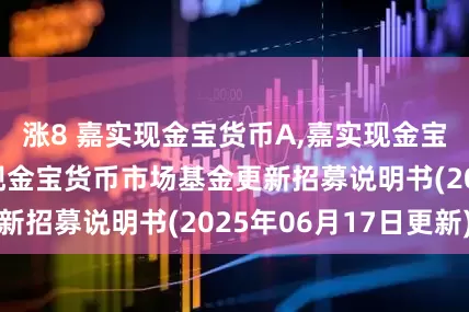涨8 嘉实现金宝货币A,嘉实现金宝货币E: 嘉实现金宝货币市场基金更新招募说明书(2025年06月17日更新)