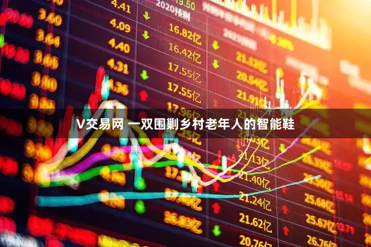 V交易网 一双围剿乡村老年人的智能鞋